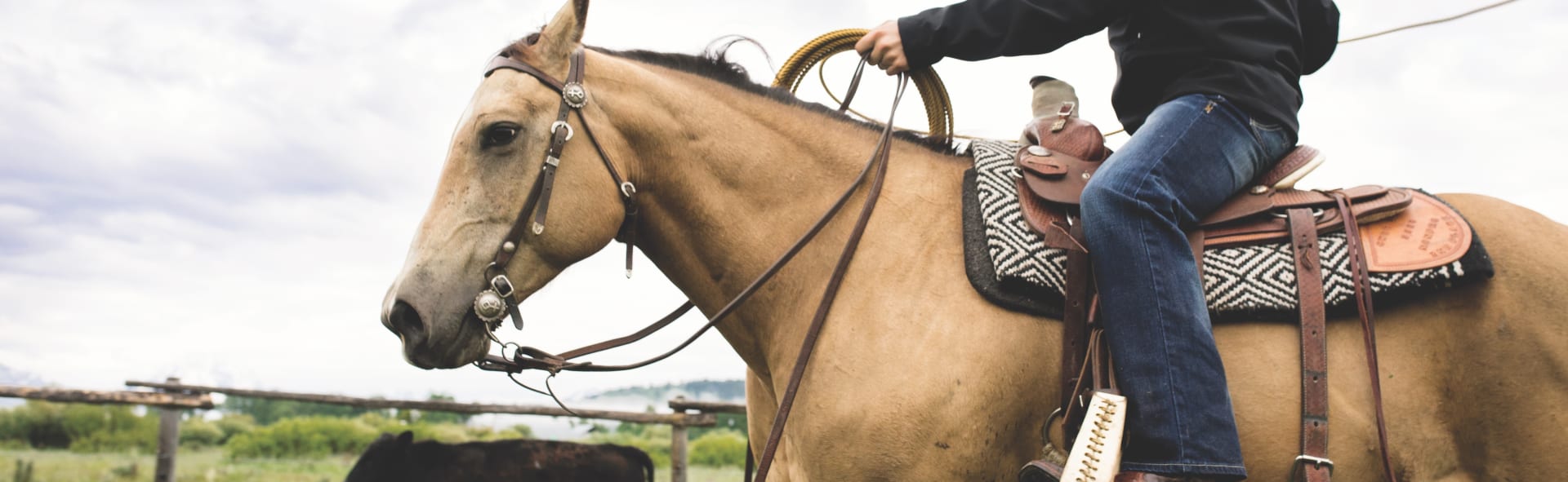 What are the Different Types of Western Horseback Riding? Ariat